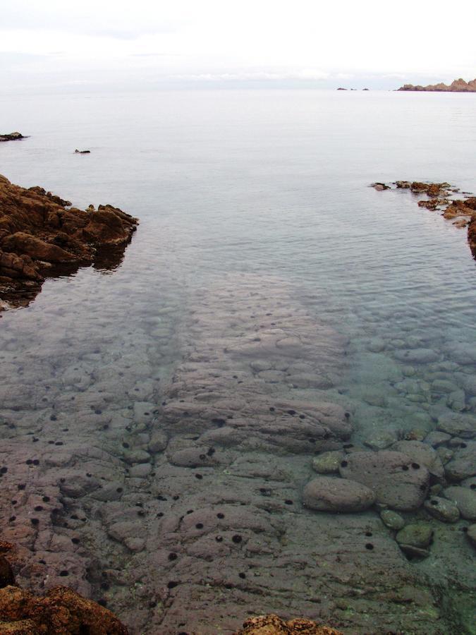 Hotel Smeraldo Affitta Camere Isola Rossa  Luaran gambar